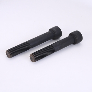 Hexagon socket head cap bolts